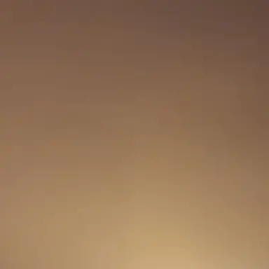 Profile image of 조우찬