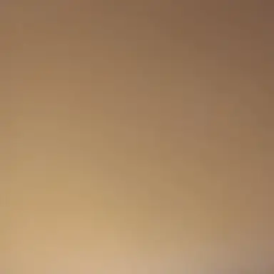 Profile image of 석유진