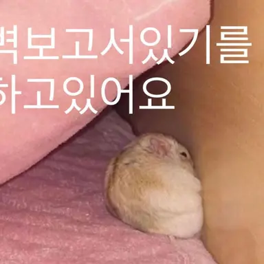 Profile image of 신영덕