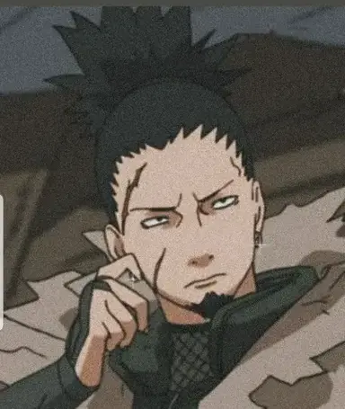 Profile image of Shikaku