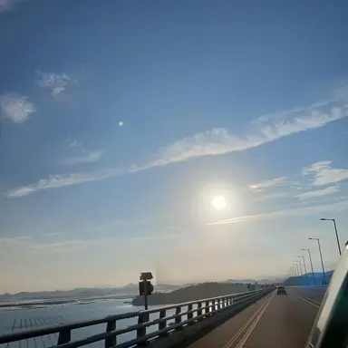 Profile image of 친구들