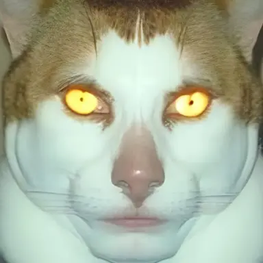Profile image of 하하하