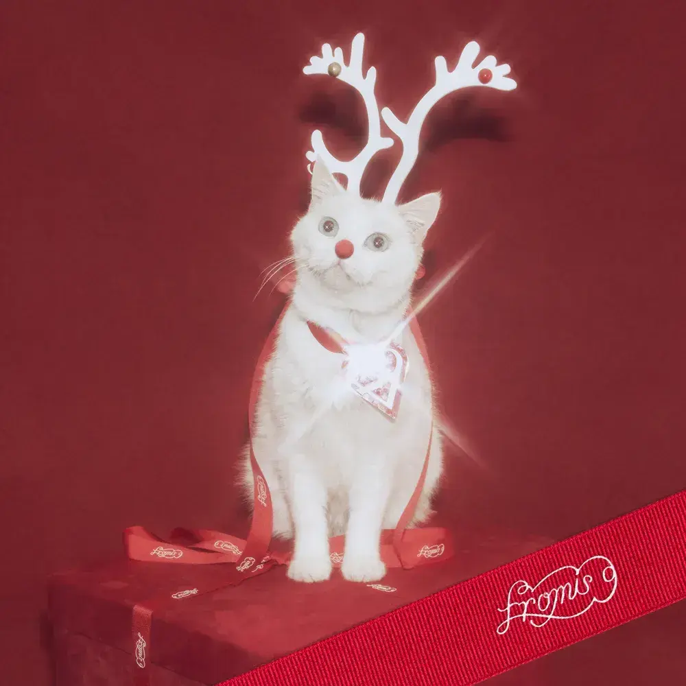 fromis_nine의 프로미스나인과 사역마