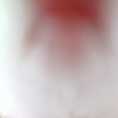 Profile image of 이예진