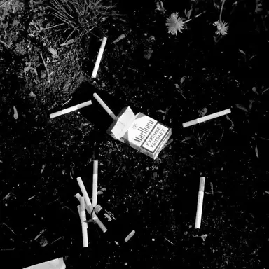 Profile image of 권지용