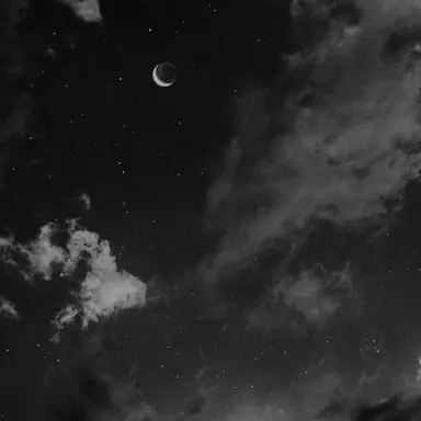 Profile image of 先生