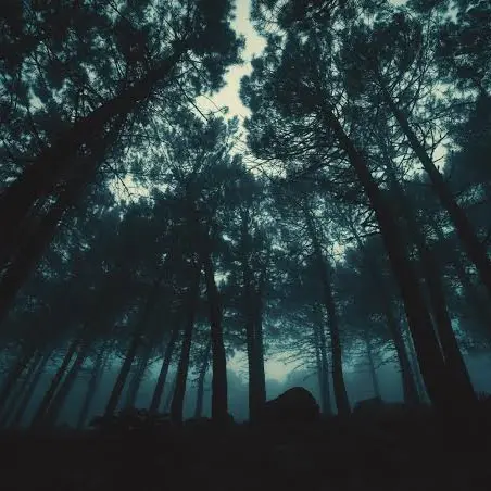 MartyrBrisk3580의 それでも好きだよ