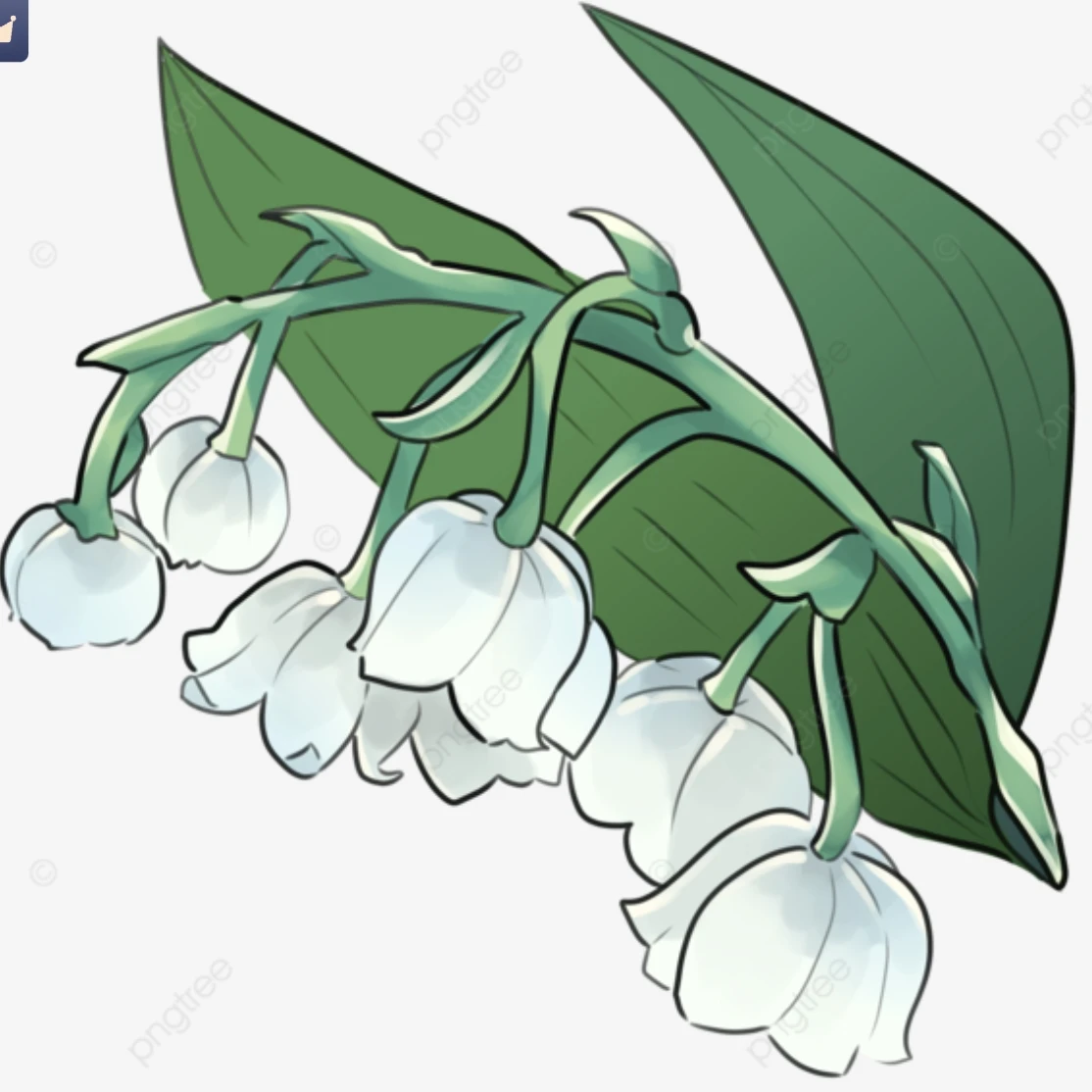 라더