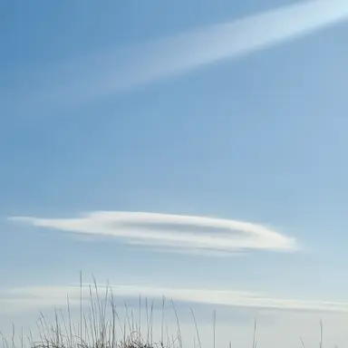 Profile image of 재원