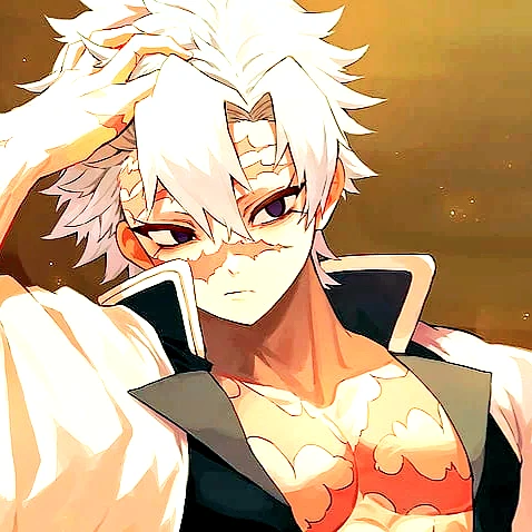 시나즈가와 사네미