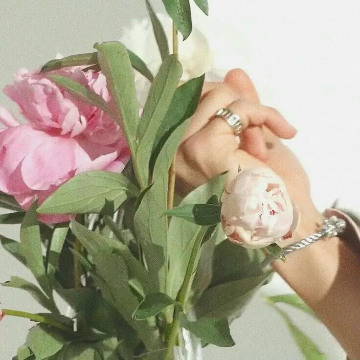 hpy17의 토끼