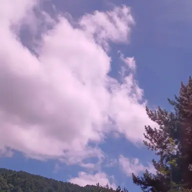 Profile image of 유기사 평학 준브