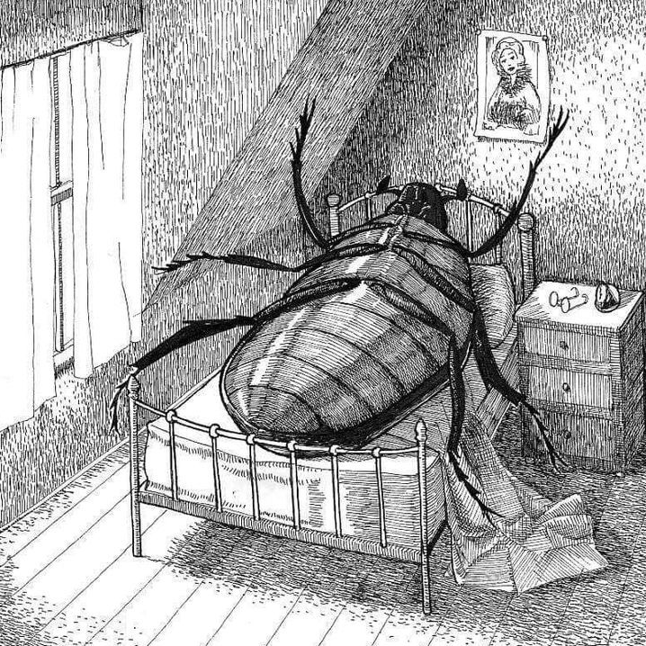 프란츠 카프카 대표 이미지