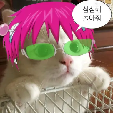 Profile image of 사이키