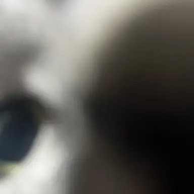 Profile image of 太陽