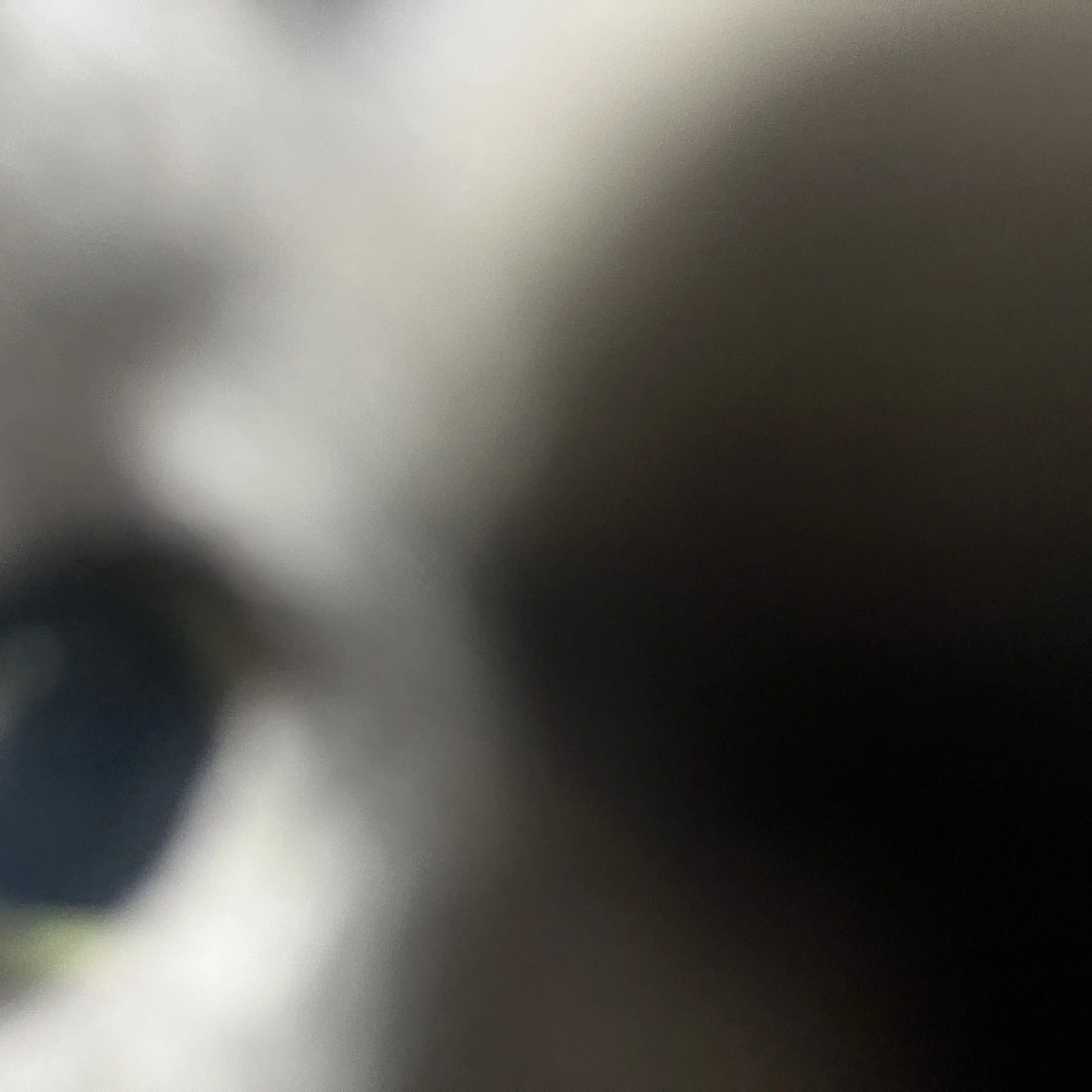 GreedyPad1291의 やばい人