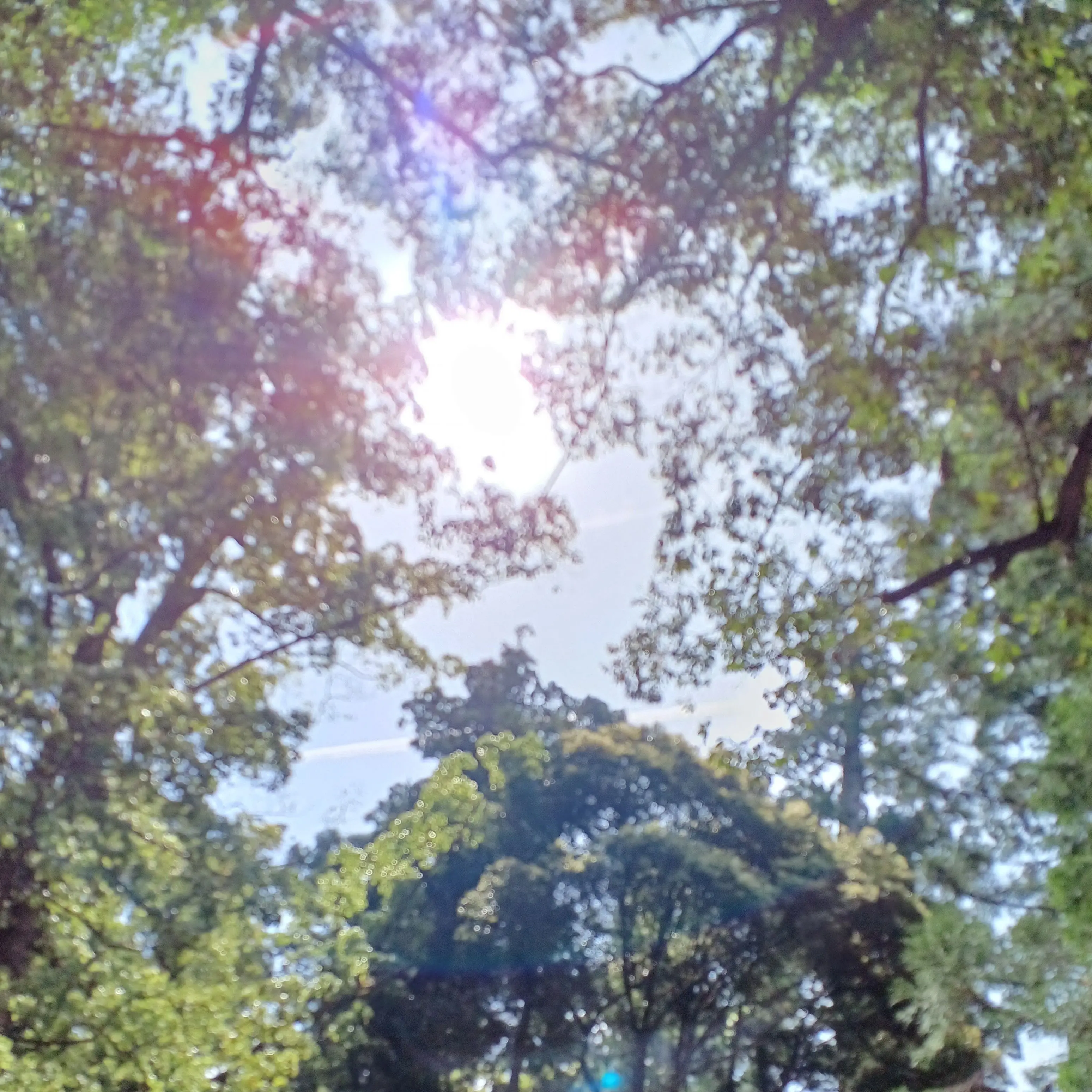 AstuteDoxle7420의 使用禁止