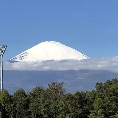 Profile image of 男子高校生