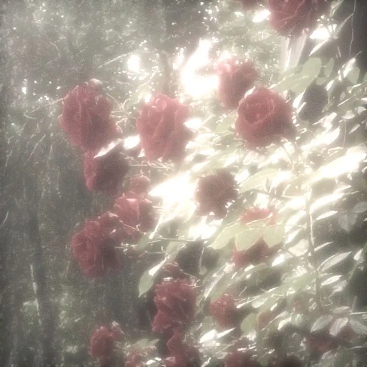 _uncon6의 나이트 이클립스 ( 메인 )