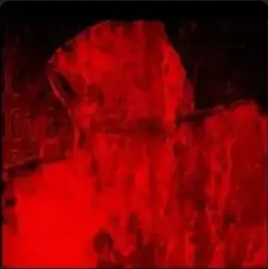 Profile image of 쿨키드