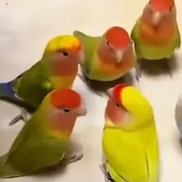 Profile image of 유기사