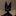 shadow hoshi