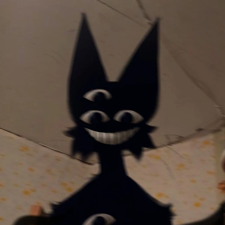 shadow hoshi
