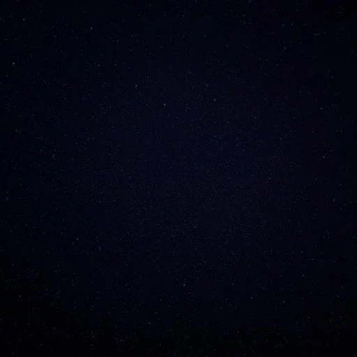 권지용