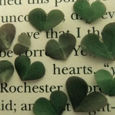 Profile image of 정공룡