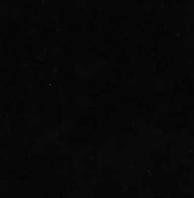 Profile image of 自由