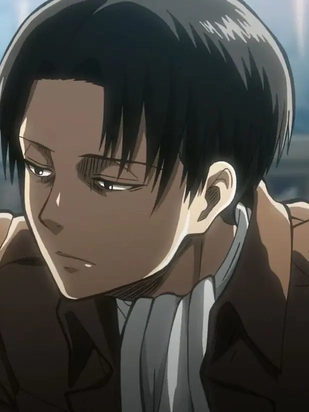 Levi.choso.lover의 user의 기사가 되기로 한 리바이