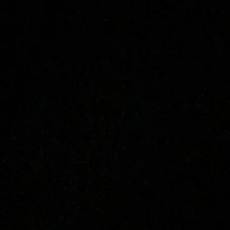 HugeGoral9311의 친구들과 동거.