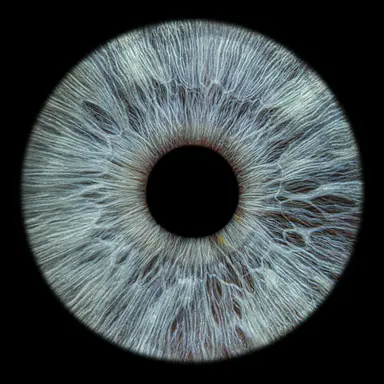 Profile image of 도