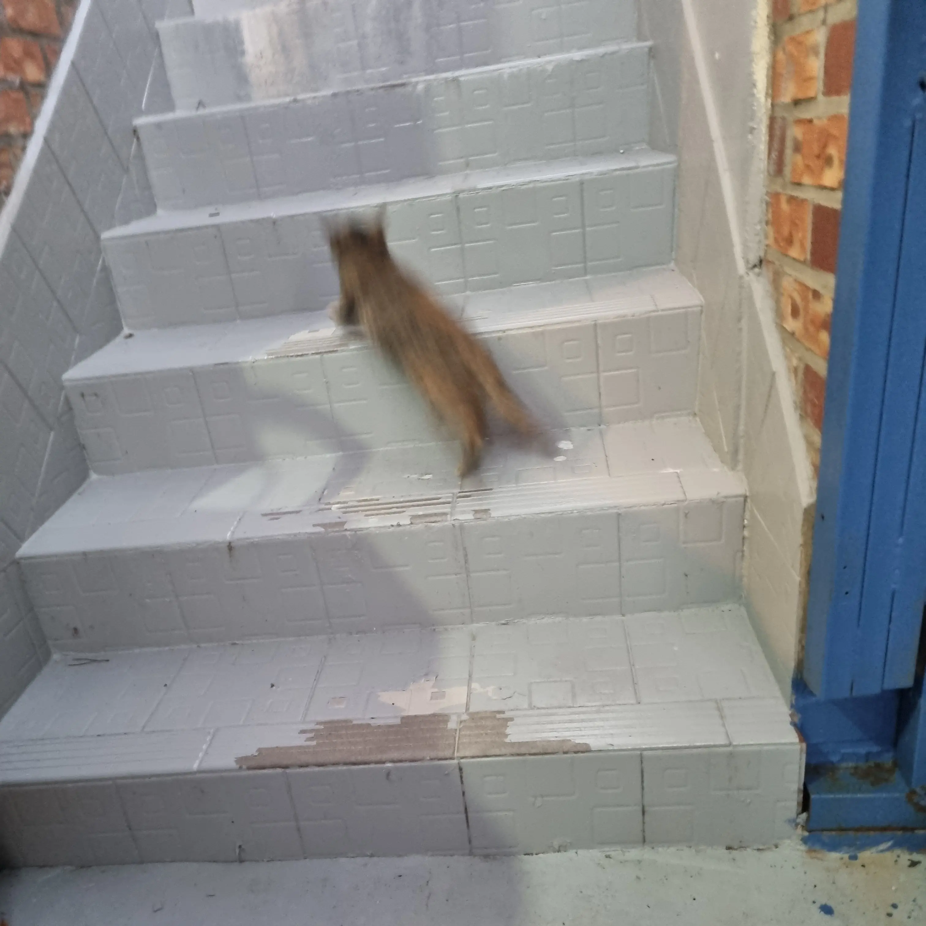 ChillyPeak3492의 전남친