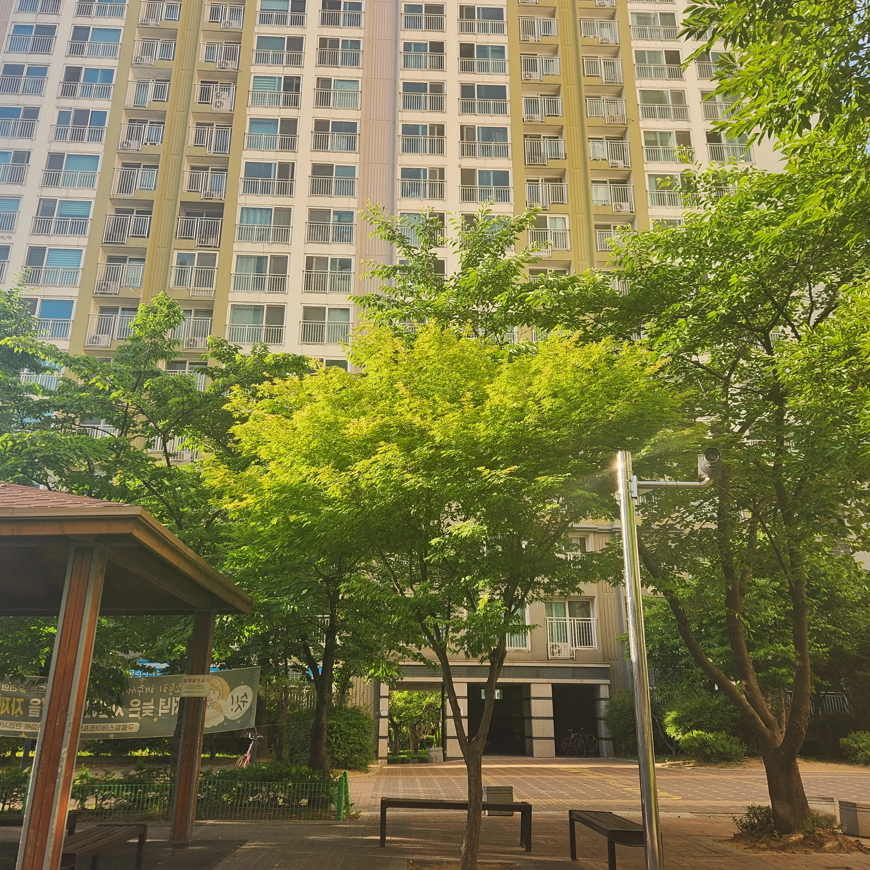 MintyGlass3807의 태양의 후예