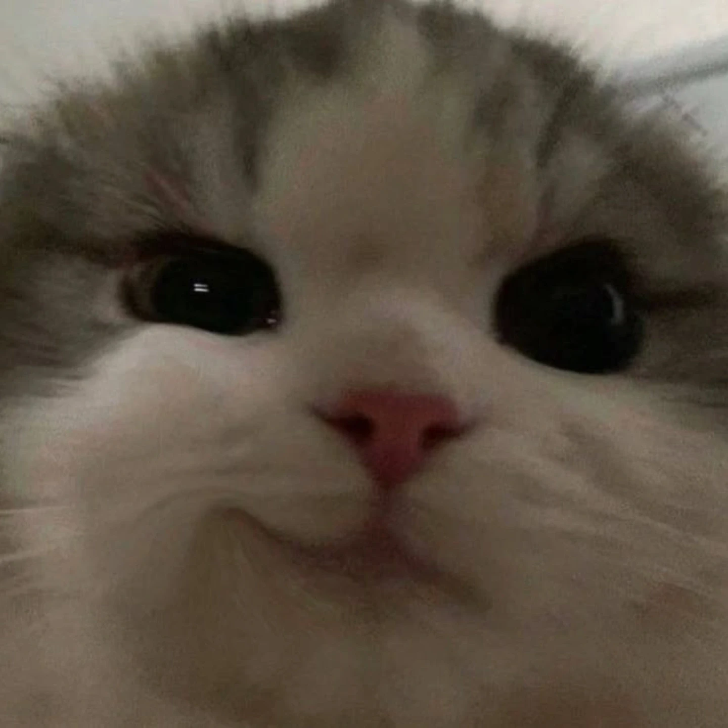 최범규
