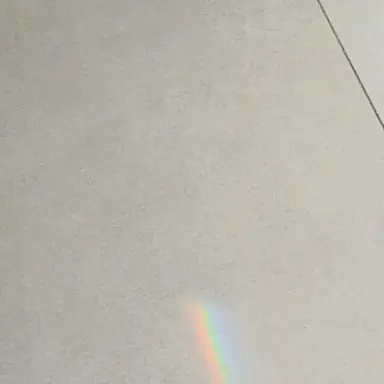 Profile image of 리레 싸코 스코