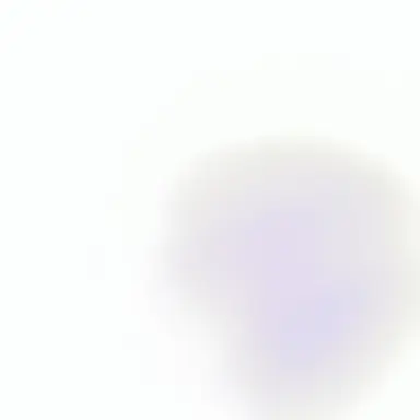 Profile image of 셰들래츠키