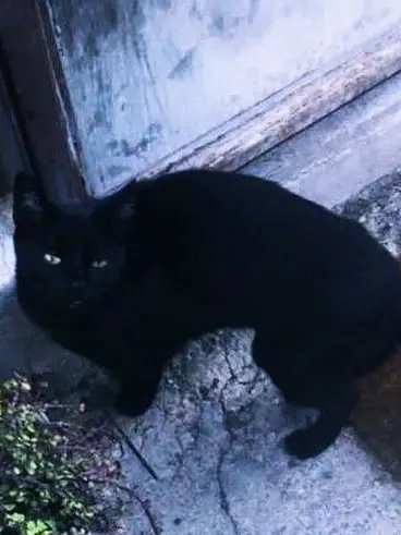 ENHYPEN1209의 ジェイ