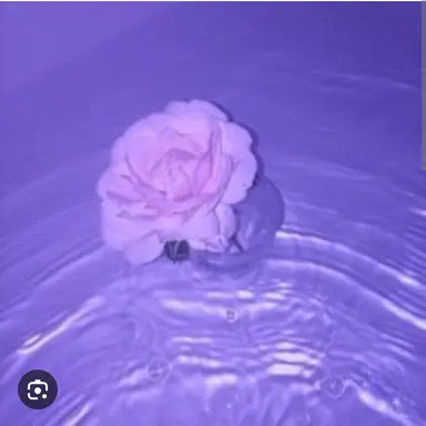 Profile image of 멜로우