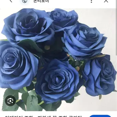 Profile image of 벨키