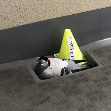 Profile image of ヴィタリー