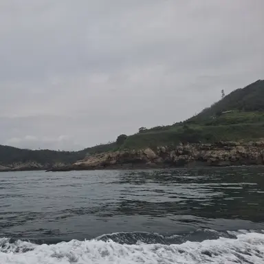 Profile image of 백연휘