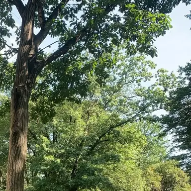 Profile image of 유지민