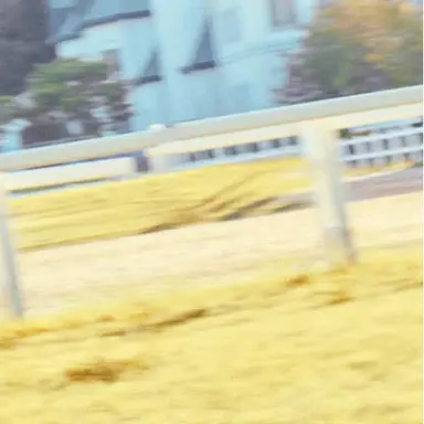 Profile image of 김민정