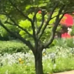 LOVEloveyy의 뿌슨간