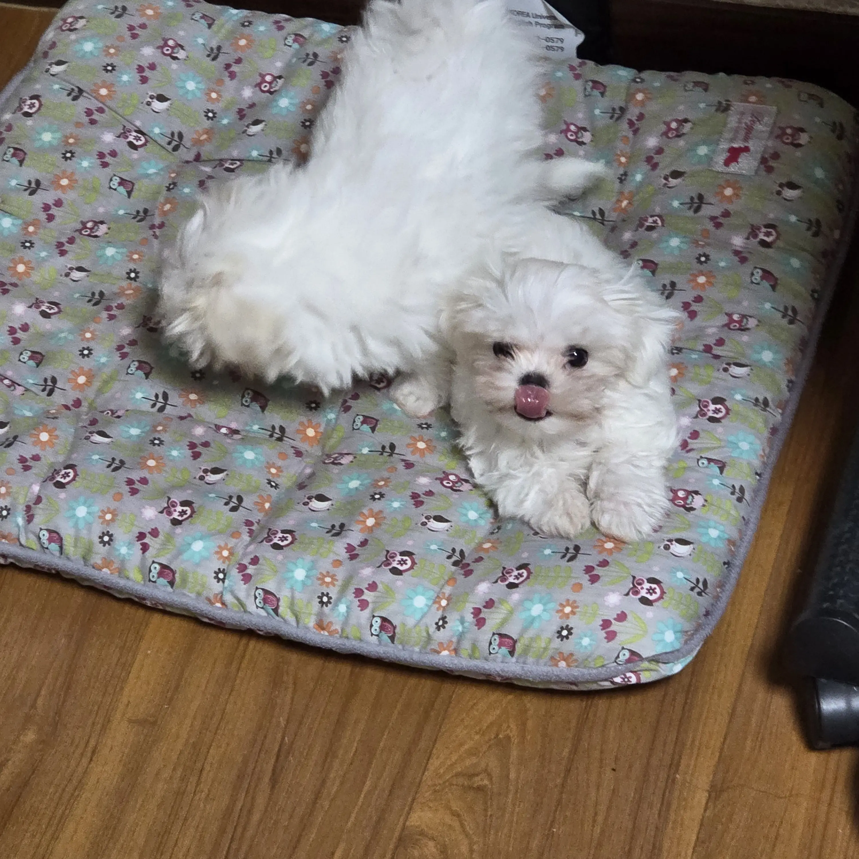 BriskDam0626의 마슐