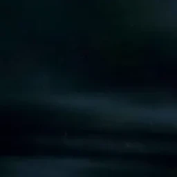 전웑우