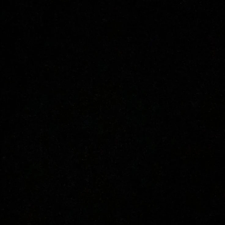 신예찬
