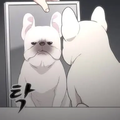 Profile image of 진대감